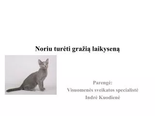 noriu tur ti gra i laikysen