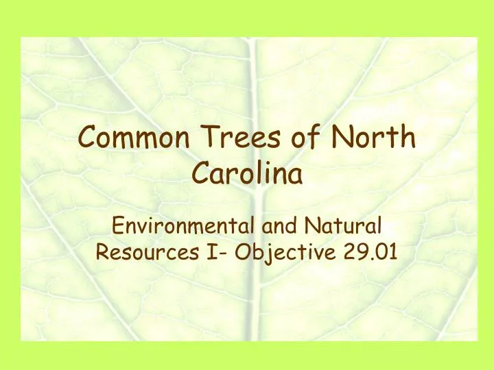 common trees of north carolina