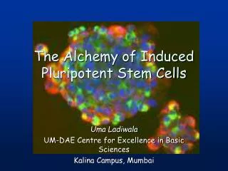 The Alchemy of Induced Pluripotent Stem Cells