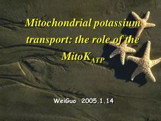 Mitochondrial potassium transport: the role of the MitoK ATP