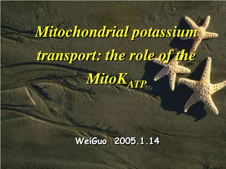 mitochondrial potassium transport the role of the mitok atp