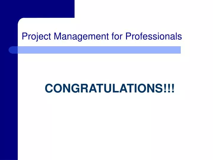 project management for professionals