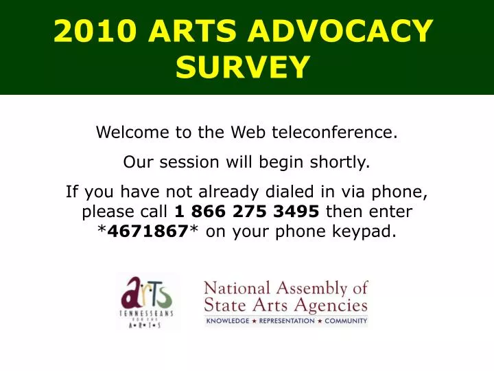 2010 arts advocacy survey