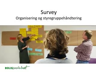 survey organisering og styregruppeh ndtering