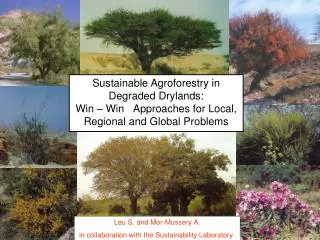 Sustainable Agroforestry in Degraded Drylands: