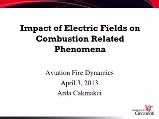 Impact of Electric Fields on Combustion Related Phenomena
