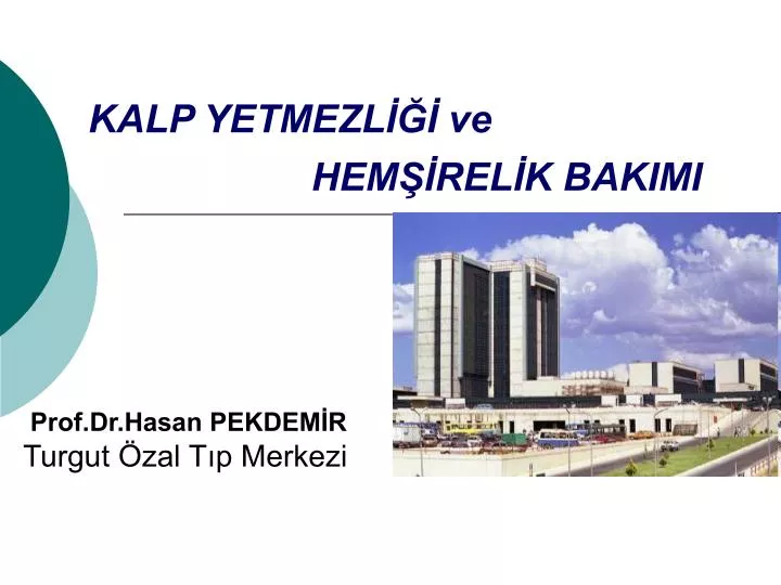 prof dr hasan pekdem r turgut zal t p merkezi