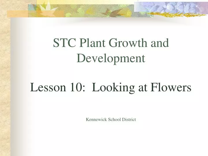 stc plant growth and development lesson 10 looking at flowers kennewick school district