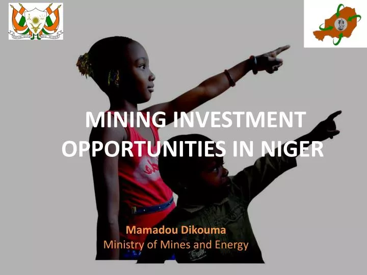 mining investment opportunities in niger