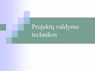 projekt valdymo technikos