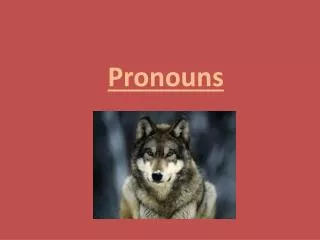 Pronouns