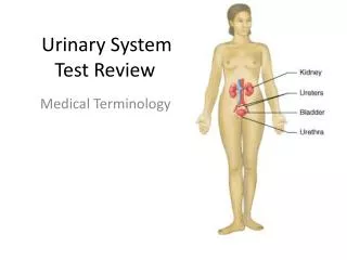 urinary system test review