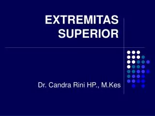 extremitas superior