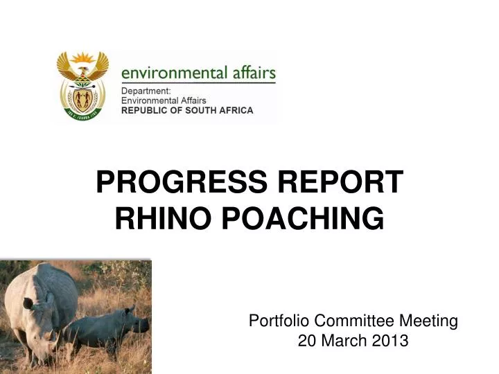 progress report rhino poaching