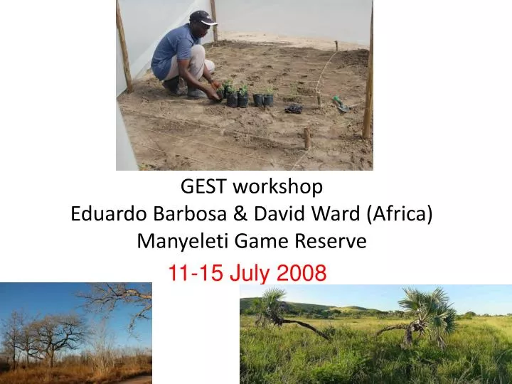 gest workshop eduardo barbosa david ward africa manyeleti game reserve