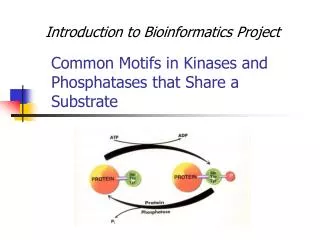 Common Motifs in Kinases and Phosphatases that Share a Substrate