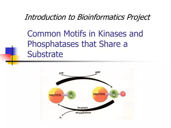common motifs in kinases and phosphatases that share a substrate