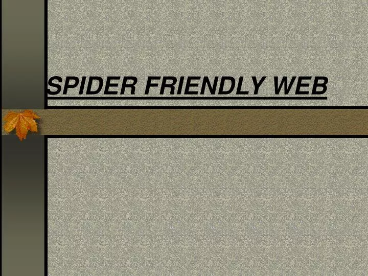 spider friendly web