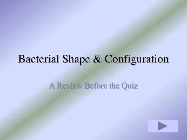 bacterial shape configuration