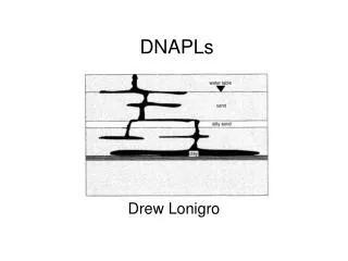 DNAPLs