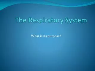 The Respiratory System