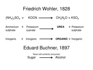 Friedrich Wohler, 1828