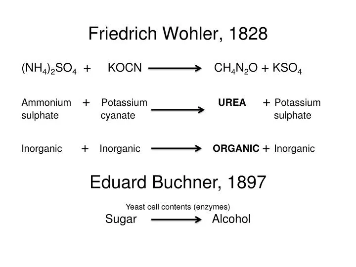 friedrich wohler 1828