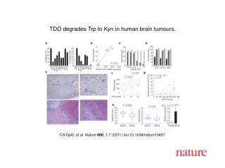 CA Opitz et al . Nature 000 , 1 - 7 (2011) doi:10.1038/nature10491