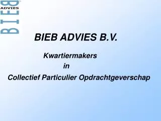 bieb advies b v
