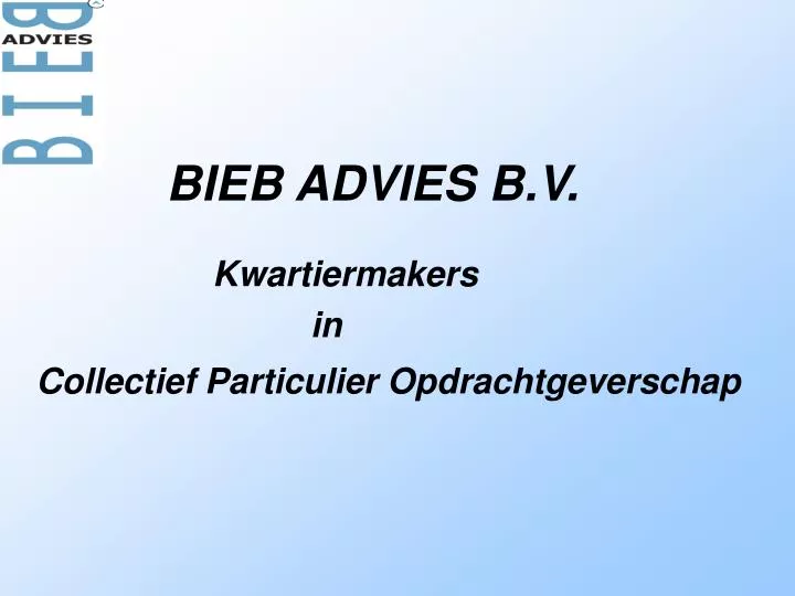 bieb advies b v