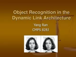 Object Recognition in the Dynamic Link Architecture
