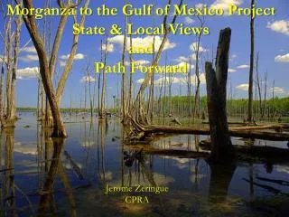 Morganza to the Gulf of Mexico Project State &amp; Local Views and Path Forward