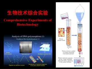 ???????? Comprehensive Experiments of Biotechnology