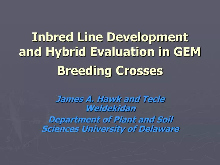 inbred line development and hybrid evaluation in gem breeding crosses