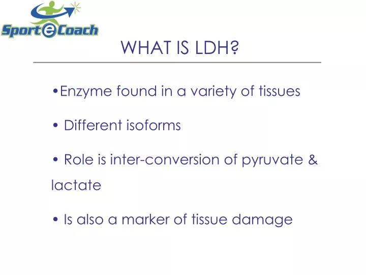 what is ldh