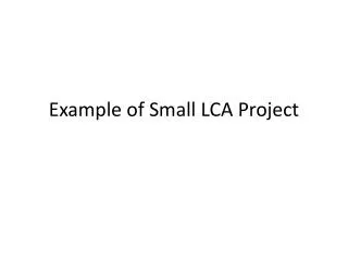 example of small lca project