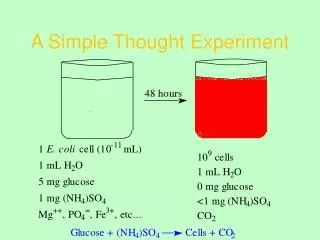 A Simple Thought Experiment