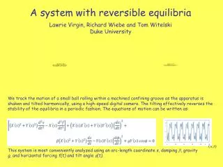 A system with reversible equilibria