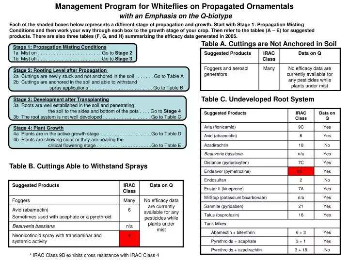 management program for whiteflies on propagated ornamentals with an emphasis on the q biotype