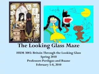The Looking Glass Maze