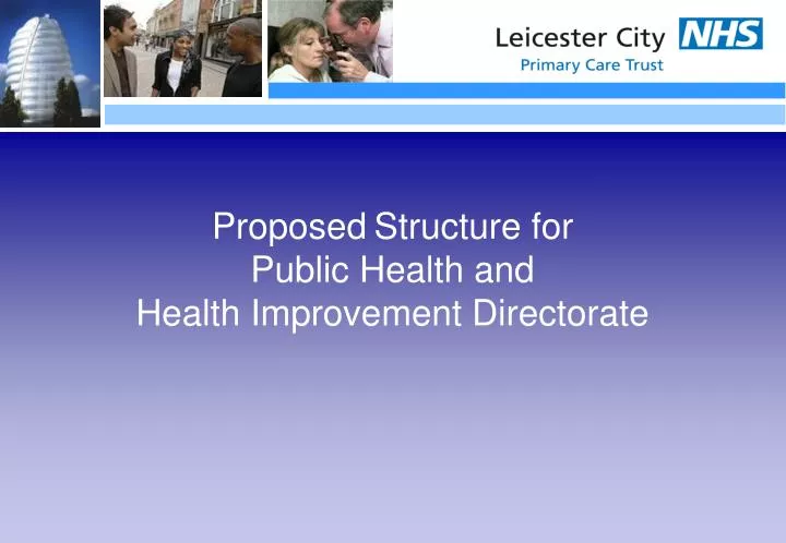 proposed structure for public health and health improvement directorate