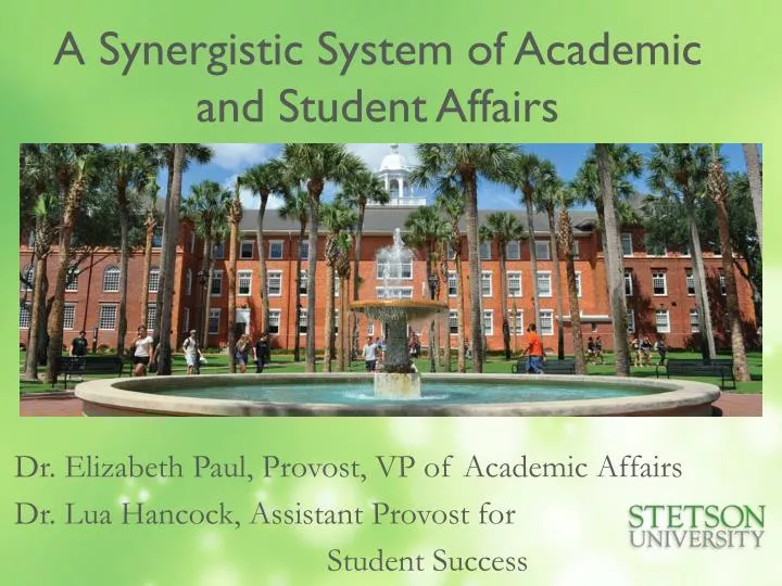a synergistic system of academic and student affairs