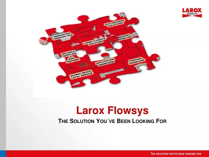larox flowsys the solution you ve been looking for