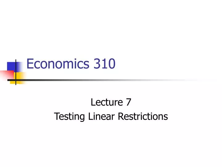 economics 310