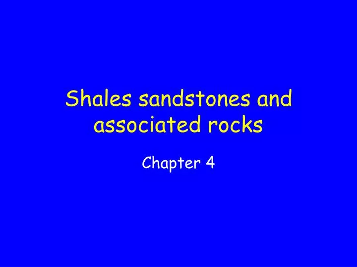 shales sandstones and associated rocks