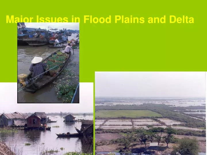 major issues in flood plains and delta