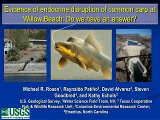 Evidence of endocrine disruption of common carp at Willow Beach: Do we have an answer?