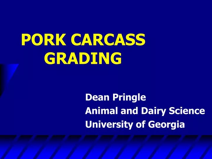 pork carcass grading