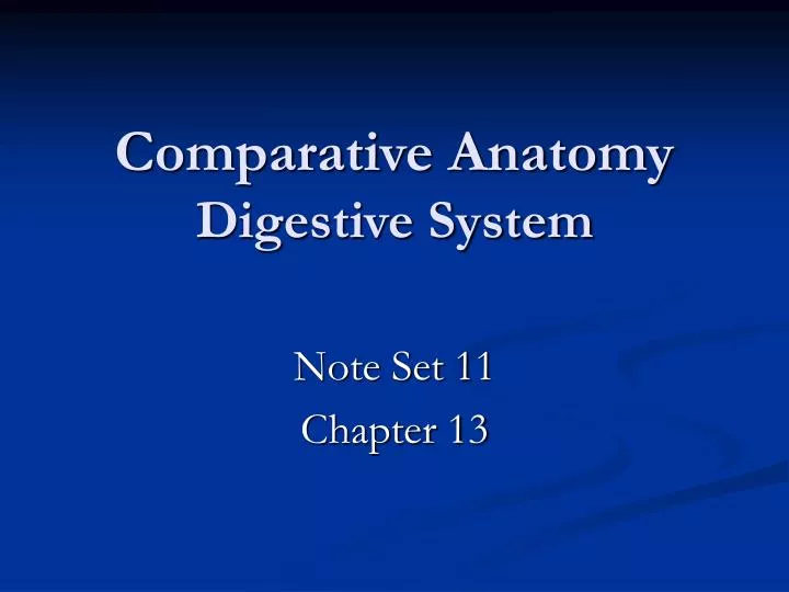 comparative anatomy digestive system