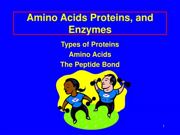 amino acids proteins and enzymes